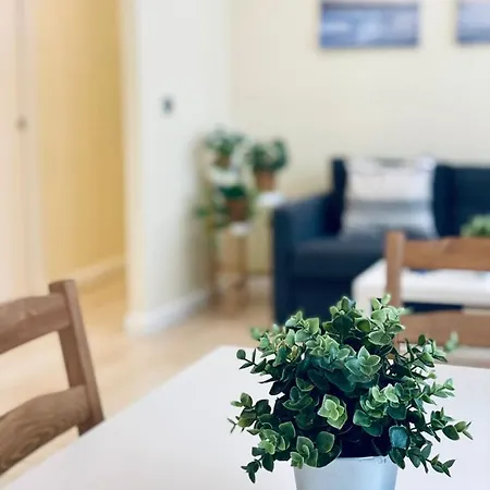 Bright House Grupo Ac Gestion * 加的斯