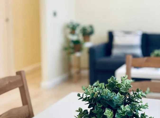 Bright House Grupo Ac Gestion * Cadiz